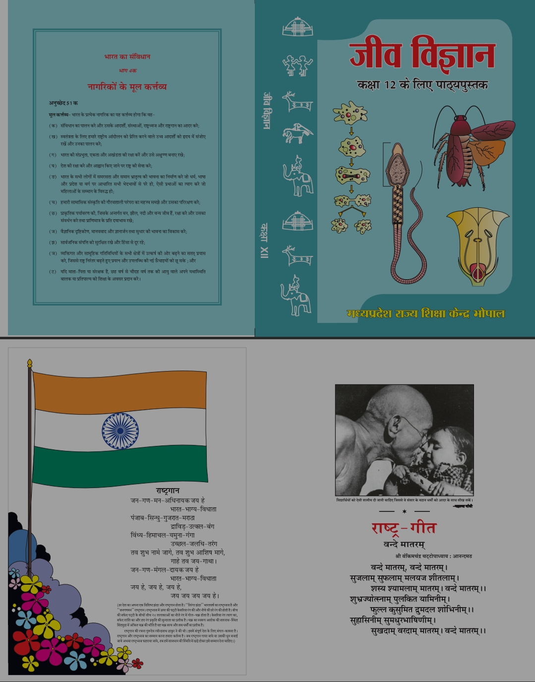 MP Board 12th Biology hindi medium