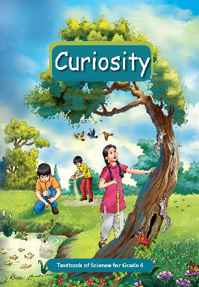 Class 6th NCERT Science Book Curiosity